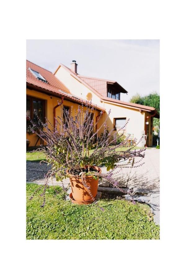 Apartmány U kapličky Kamyk nad Vltavou Exterior foto